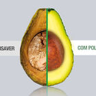 Seladora A Vácuo Polishop - Polisaver Machine | 220v